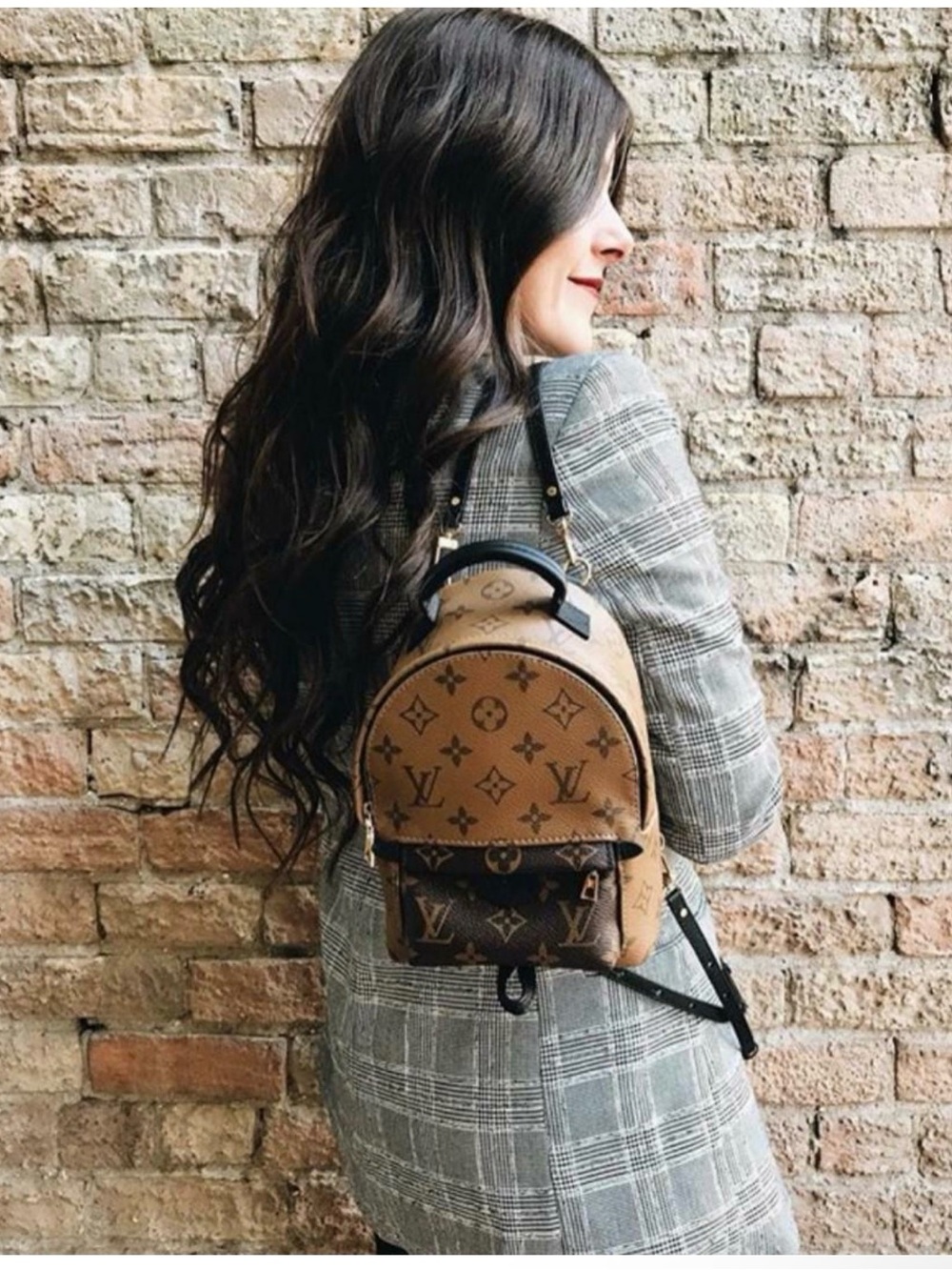 Authentic Louis Vuitton Reverse Monogram Palm Springs Mini Backpack / Bag - Picture 12 of 16